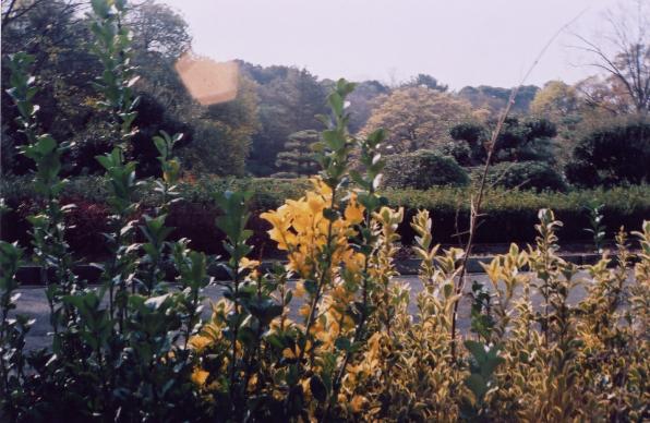 d0071507_21425636.jpg