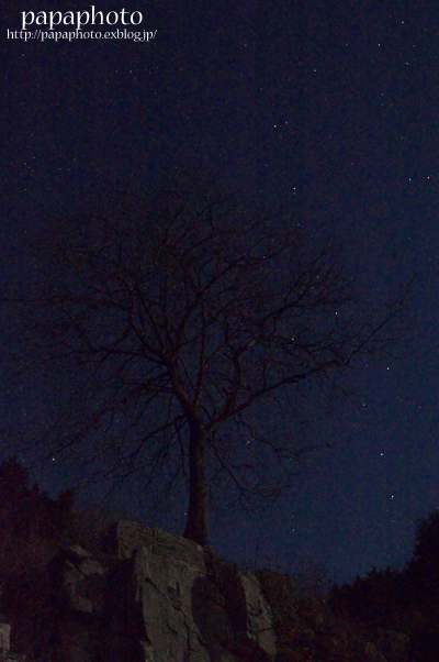 f0041908_2324399.jpg