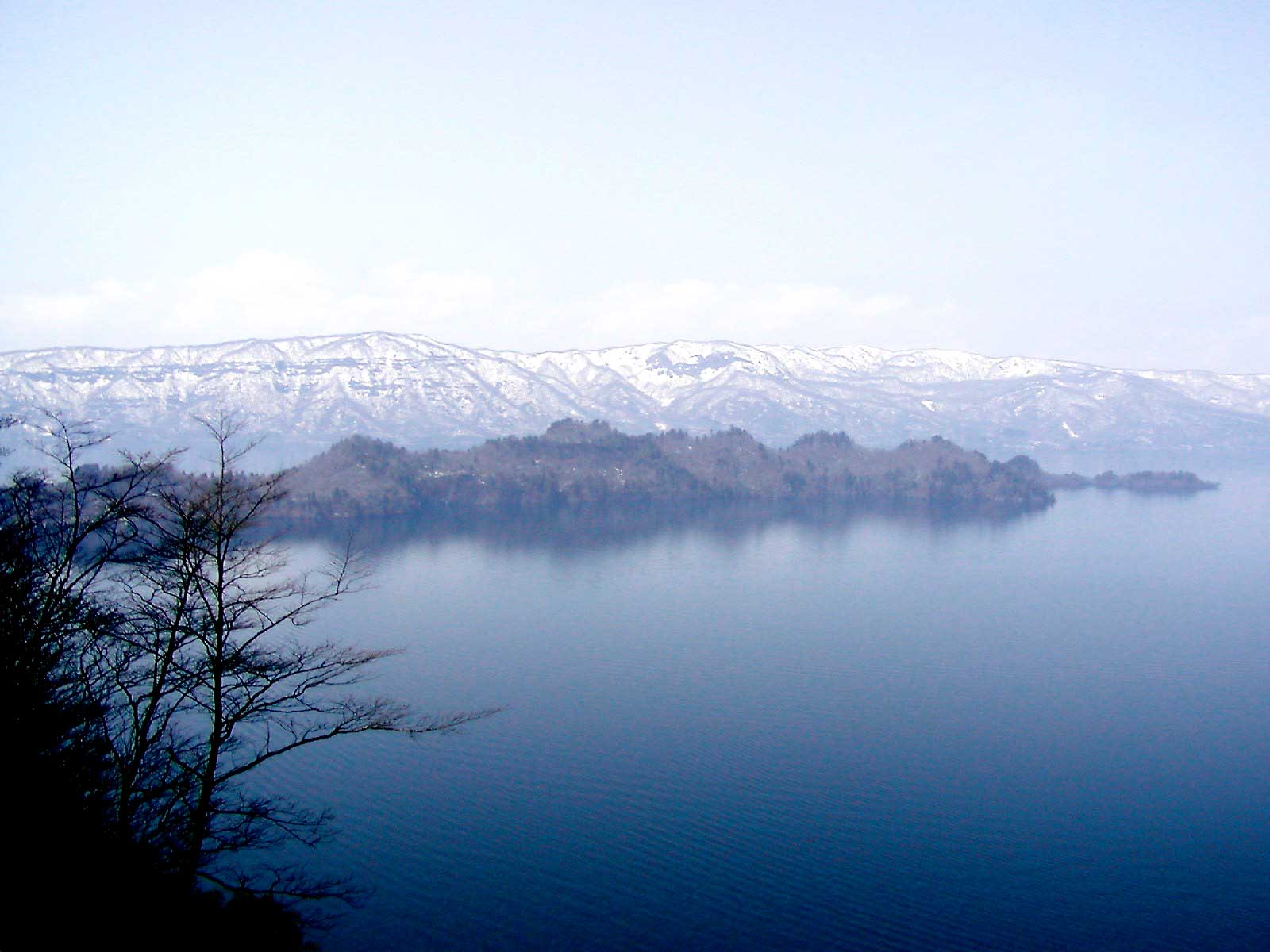 f0107517_1535355.jpg