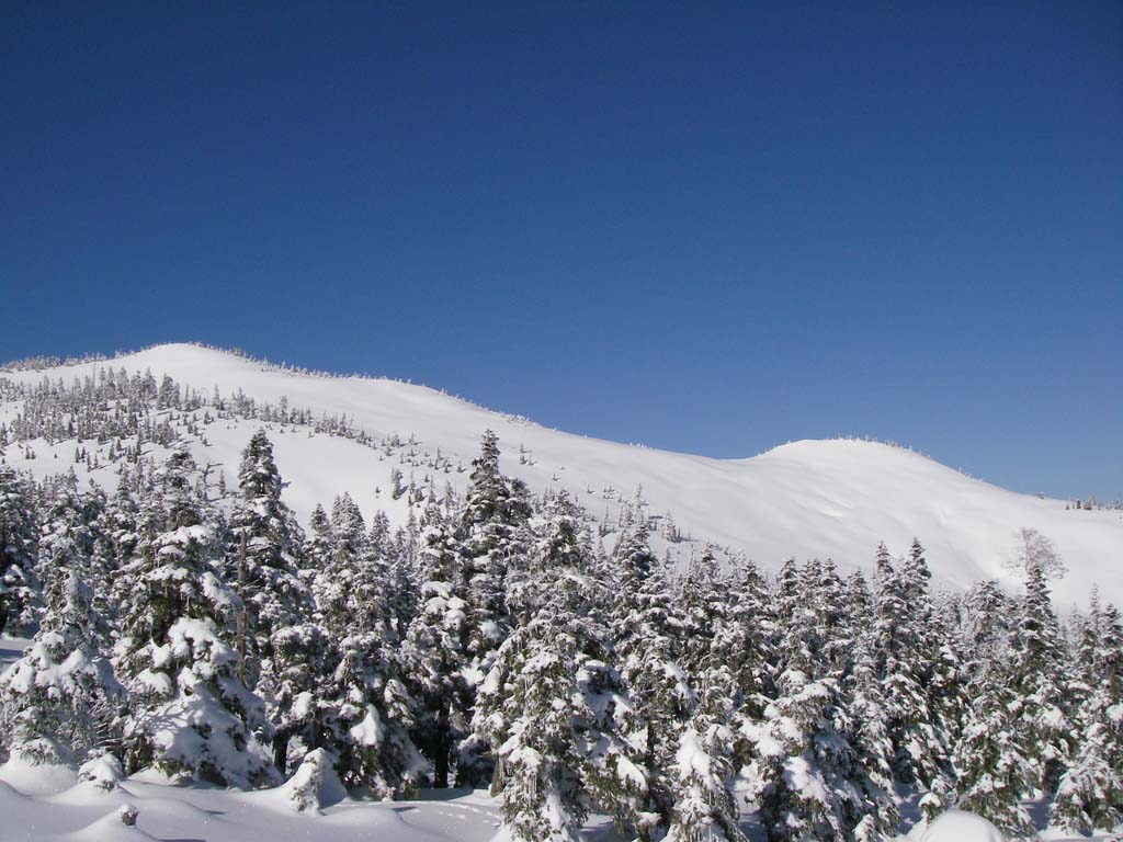 b0062024_18453824.jpg
