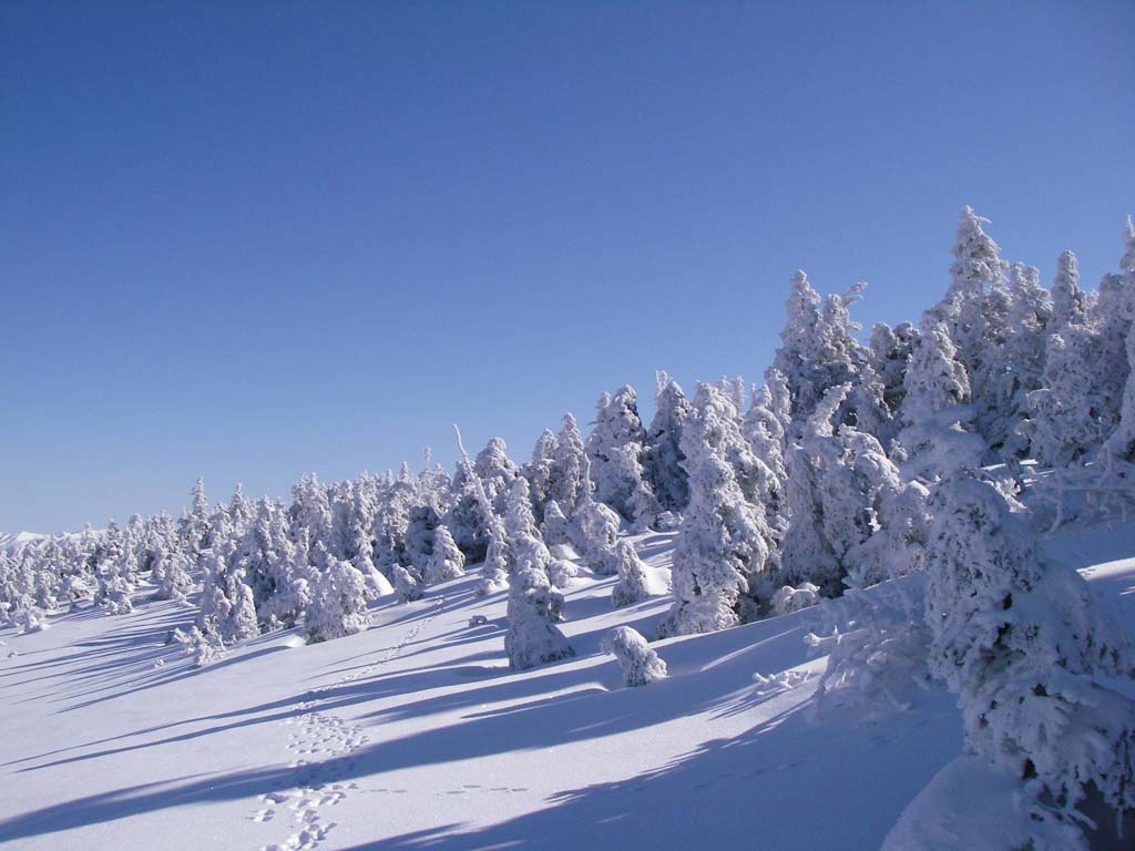 b0062024_18473061.jpg