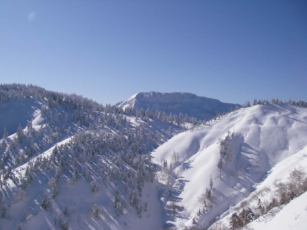 b0062024_1856222.jpg