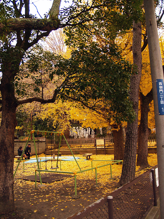 c0039630_9592512.jpg