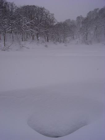 f0118332_21415067.jpg