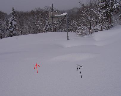 f0118332_2149339.jpg