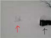 f0118332_2274892.jpg