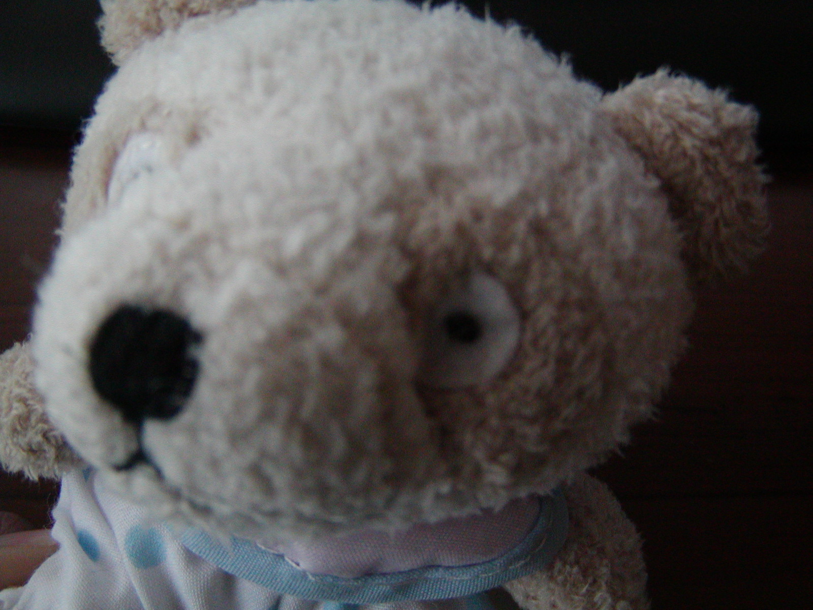 f0039446_1463998.jpg