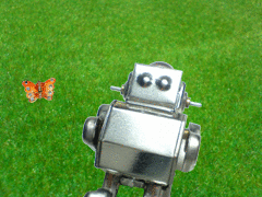 e0005548_23211783.gif
