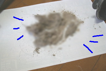 d0013149_033575.jpg