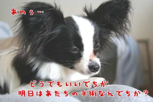 d0013149_0395466.jpg