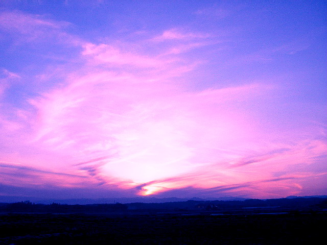 f0084561_11133059.jpg