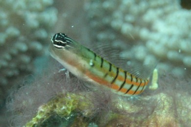 e0056370_20211297.jpg