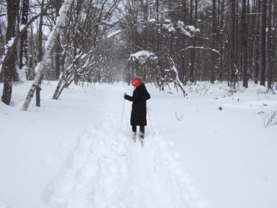 c0012571_138038.gif