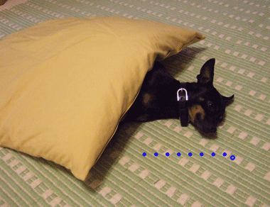 c0012571_1384585.gif