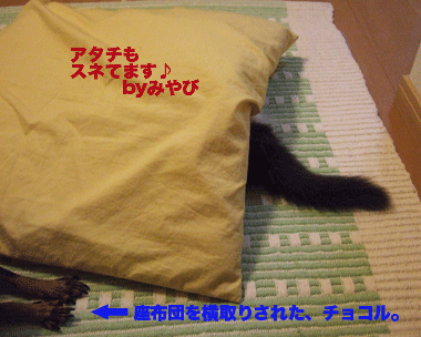 c0012571_1385744.gif