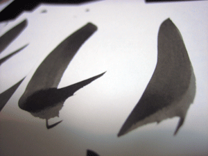 b0061376_0175054.gif