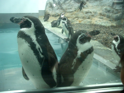 c0039690_13162180.jpg