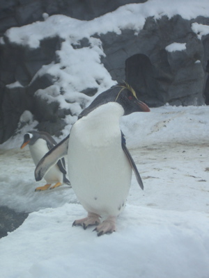 c0039690_13165020.jpg