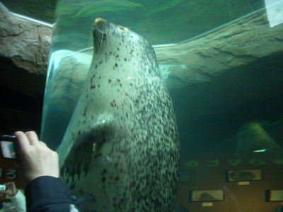 c0039690_13195722.jpg