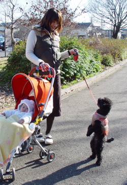 a0011999_22255063.jpg