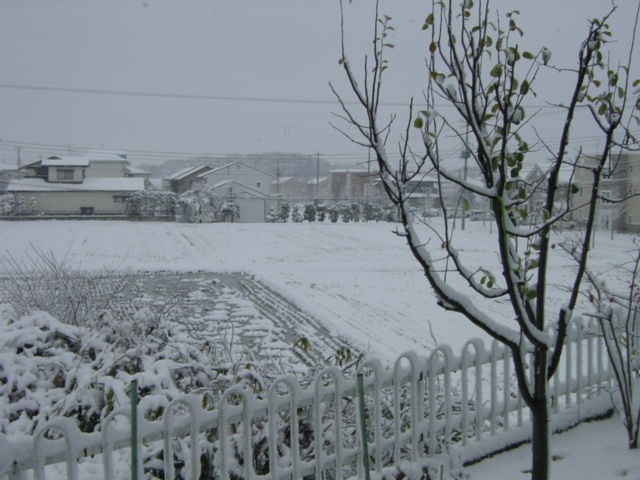 b0083902_228835.jpg