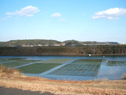 f0048405_12515550.jpg