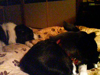 f0090009_0232573.jpg