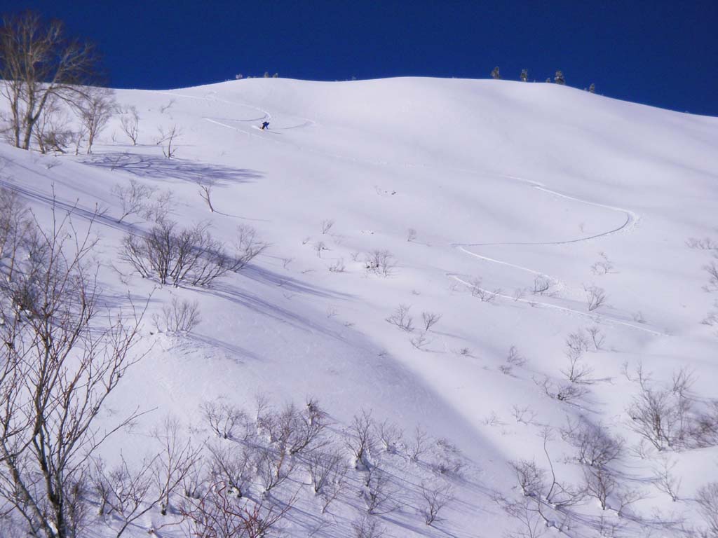 b0062024_2114018.jpg