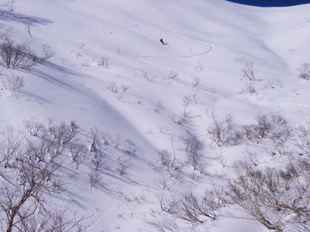 b0062024_21141379.jpg