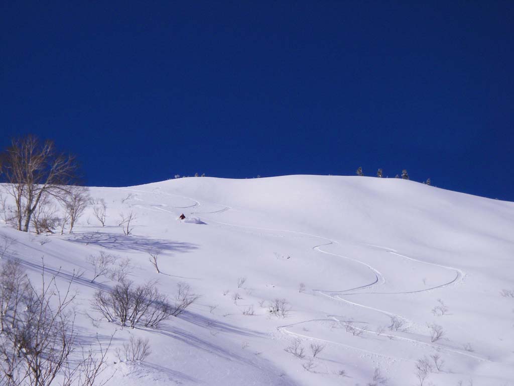 b0062024_21154121.jpg