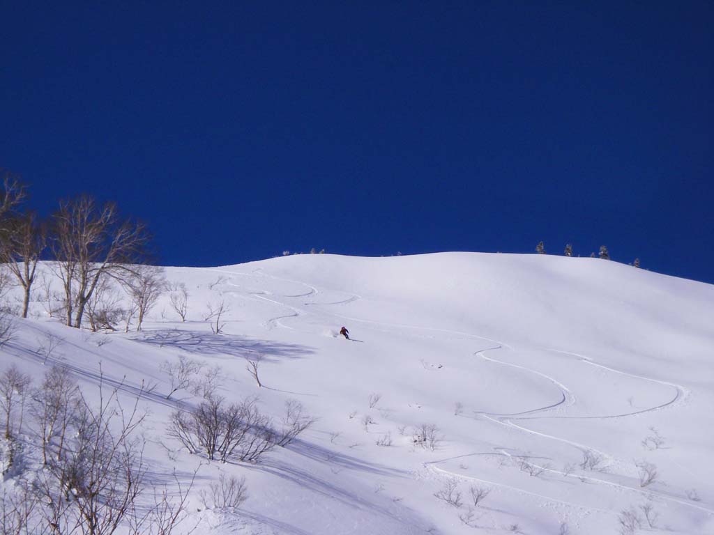 b0062024_2116091.jpg