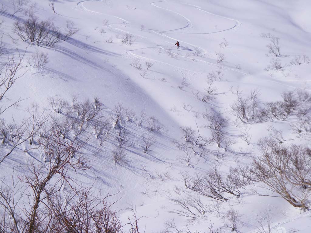 b0062024_21164621.jpg