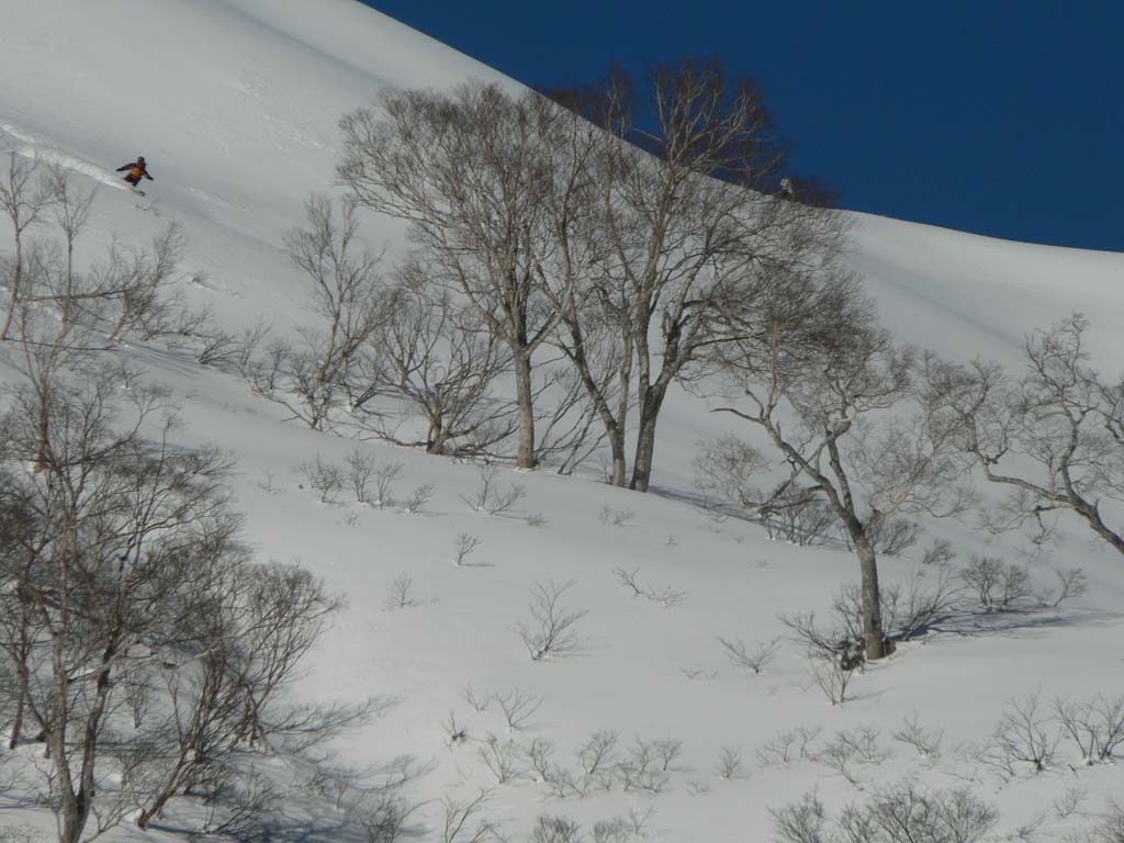 b0062024_2121589.jpg