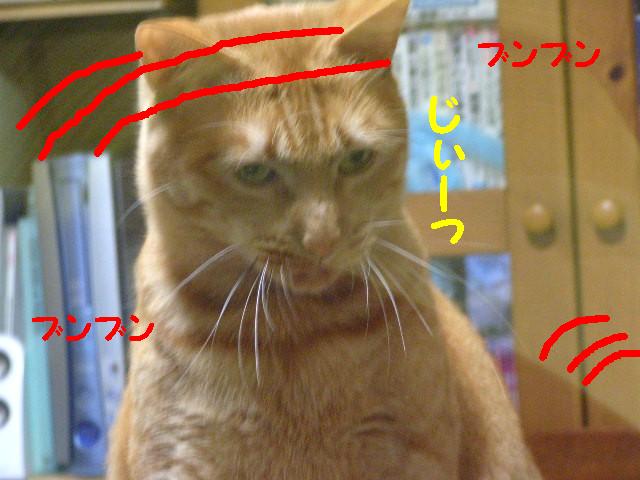 d0081025_19551045.jpg