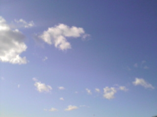 d0064329_11392544.jpg
