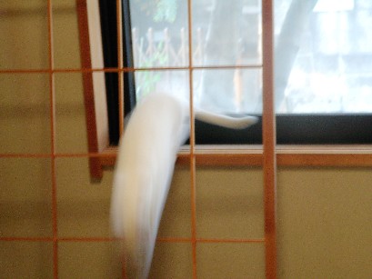 f0002833_23444228.jpg