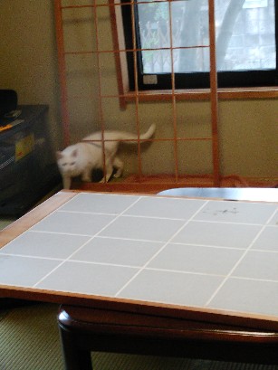 f0002833_23452882.jpg