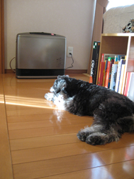 b0094236_19365014.jpg