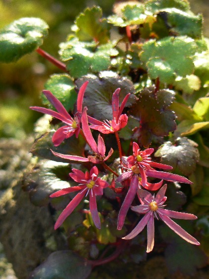 e0083238_22433371.jpg