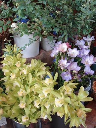 f0041850_14155746.jpg