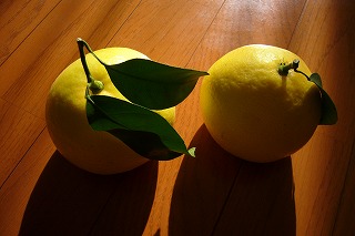 a0086555_033257.jpg