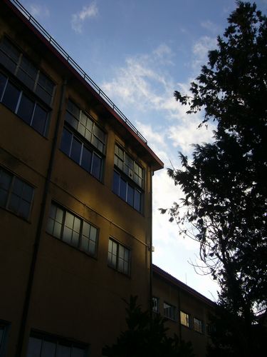 b0015260_19421795.jpg