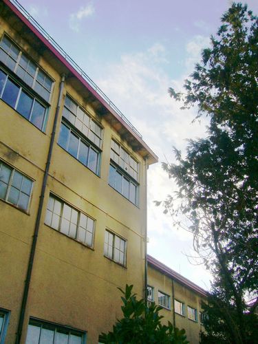 b0015260_1942993.jpg