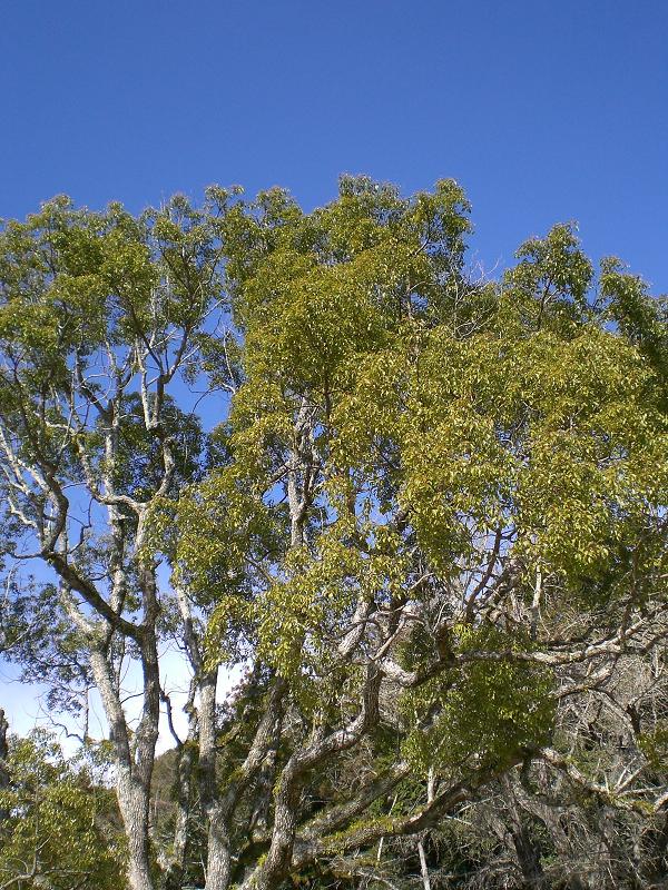 e0106965_2141229.jpg