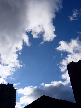 c0092467_12342272.jpg