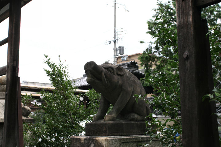 d0079373_2346050.jpg
