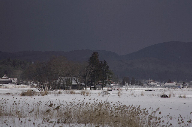 e0091879_3284560.jpg