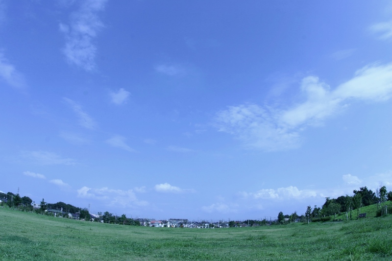 b0089483_10525679.jpg