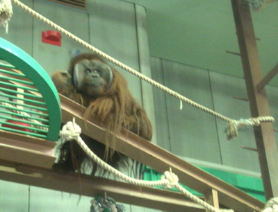 c0039690_1717220.jpg