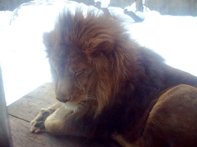 c0039690_17242174.jpg